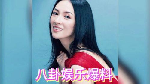 娱乐圈资深吃瓜艺人
